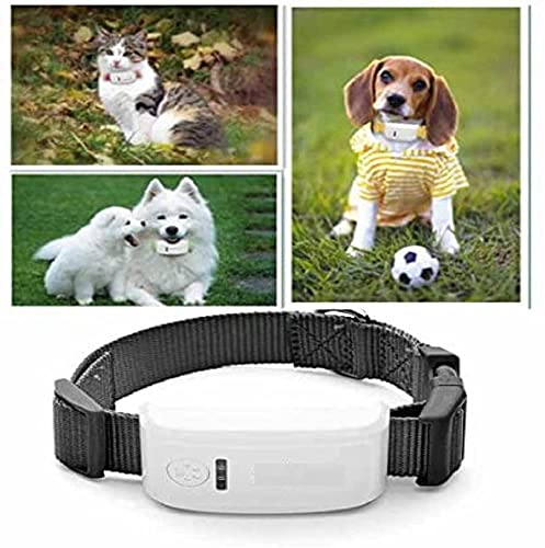 Collar GPS Perros TK909 Seguimiento en Tiempo Real Localizador GPS Perros Larga Espera a Prueba de Agua y Anti-pérdida Dog Tracker Collar Animales GPS para Todas Las Mascotas con App Gratis