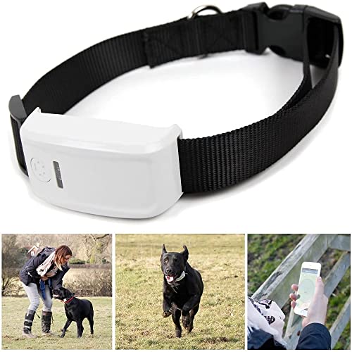 Collar GPS Perros TK909 Seguimiento en Tiempo Real Localizador GPS Perros Larga Espera a Prueba de Agua y Anti-pérdida Dog Tracker Collar Animales GPS para Todas Las Mascotas con App Gratis