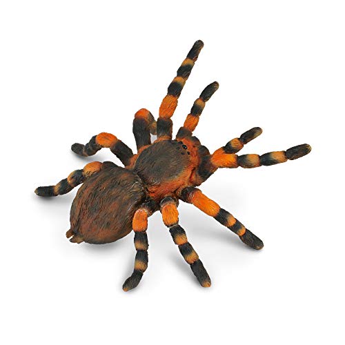 Collecta Mexicana de Redknee Tarantula