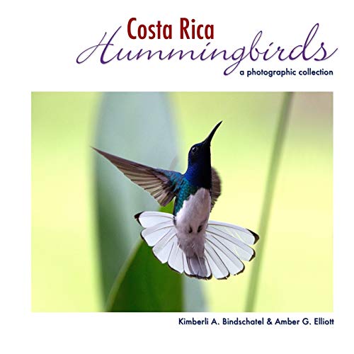 Costa Rica Hummingbirds: A Photographic Collection