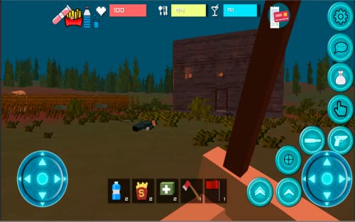 Cube Survival Online