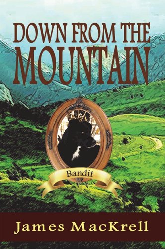 Down from the Mountain (The Bandit Series Book 1) (English Edition)