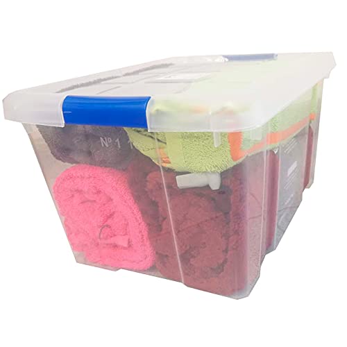 HegaHogar - Pack de 2 cajas de almacenaje, de 21,5 x 39 x 29 cm, nº 1, con capacidad de 16 litros, con tapa para organización del hogar, baúl organizador(21,5 x 39 x 29 cm, Pack de 2)