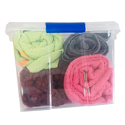 HegaHogar - Pack de 2 cajas de almacenaje, de 21,5 x 39 x 29 cm, nº 1, con capacidad de 16 litros, con tapa para organización del hogar, baúl organizador(21,5 x 39 x 29 cm, Pack de 2)