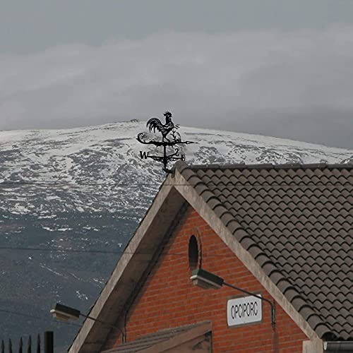 H.Slay Weathervane Gallo para el tiempo con adorno duradero veleta de acero inoxidable creativo en la rama, estaca de jardín, veleta para decoración de jardín