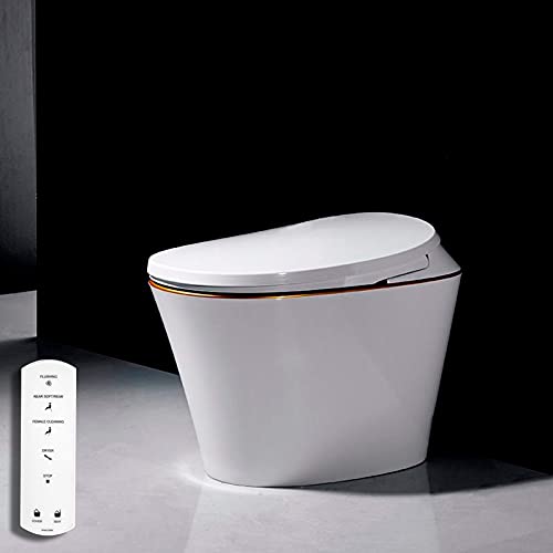 Inodoro Bidet completo, VOGO R570 Asiento Sanitario japonés Inteligente, WC para baño con Ducha eléctrica (Salida a pared)