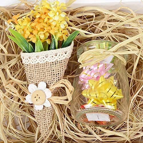 jijAcraft 2 x 50 g de rafia natural, 100 g de rafia marrón para manualidades, ramos de floristería