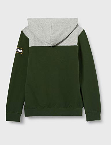 LEGO MW-Sweatshirt mit Kapuze Ninjago Sudadera con Capucha, 871 Dark Green, 4 años para Niños