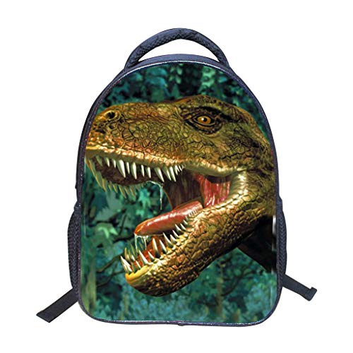 Mochilas Infantiles niño Preescolar, Dinosaurio Mochilas Impresión vívida 3D Carteras Escolares Chico Temporada de Regreso a la Escuela 14 Pulgadas Negro