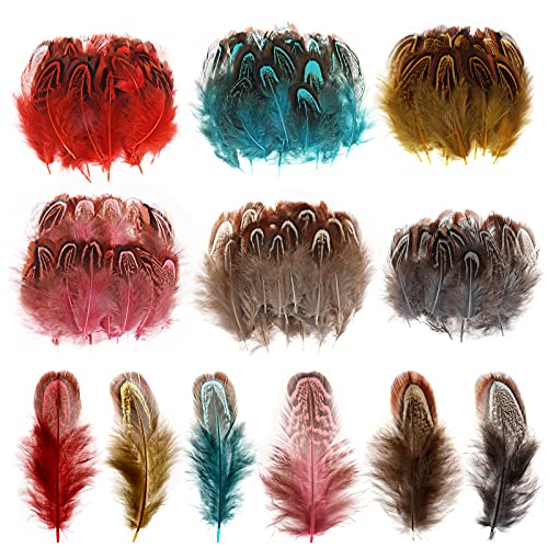 MWOOT 120 Plumas Colores, 6 Mini Plumas Manualidades 4-8CM, Plumas de Atrapasueños Bricolaje, Plumas para Pendientes Fabricación de Joyas Marrón Negro Rojo Amarillo Rosa Azul