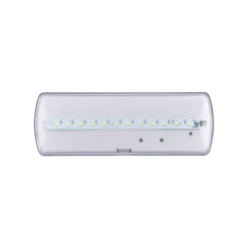 POPP® Luz de Emergencia LED de 6W 300 Lumenes con AUTOTEST. Permanente - No permanente. Luz Fría 6000K. Superficie. Resistente al Fuego (Superficie-300Lúmen, 1 UNIDAD)