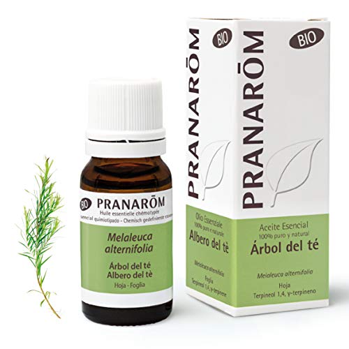 Pranarôm Aceite Esencial de Árbol del Té 100% puro, natural y BIO, 100% Quimiotipado, Melaleuca alternifolia, Purificador anti imperfecciones, cara y cuerpo, Blanqueador de dientes, Tea Tree, 10 ml