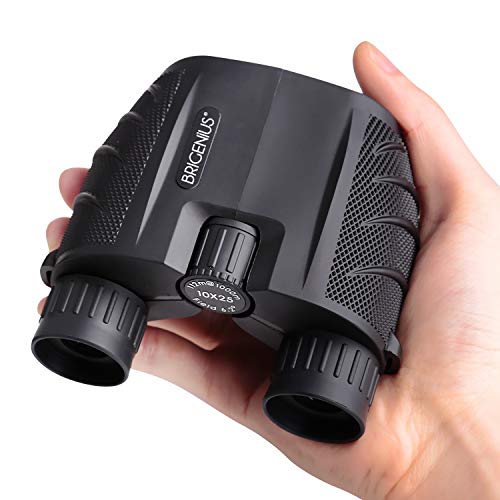 Prismaticos compactos 10x25 para observación de Aves, binoculares pequeños Binoculares de visión Nocturna para niños Adultos, con Lente BAK4 Roof Prism FMC para Viajes al Aire Libre (0.53 LB)