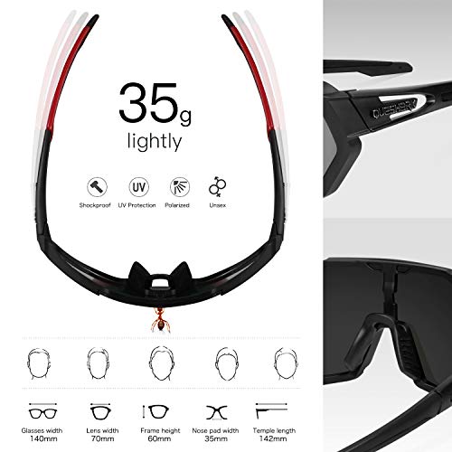 Queshark Gafas De Sol Polarizadas para Ciclismo con 5 Lentes Intercambiables, Protección UVA & UVB, Bicicleta de Carretera MTB Gafas de Ciclismo,Certificación CE