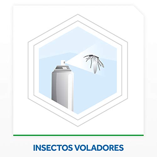 Raid ® Spray Insecticida - Aerosol para moscas y mosquitos, Flores Frescas. Eficacia inmediata. Hogar e interiores. Pack de 3 Unidades, 600ml