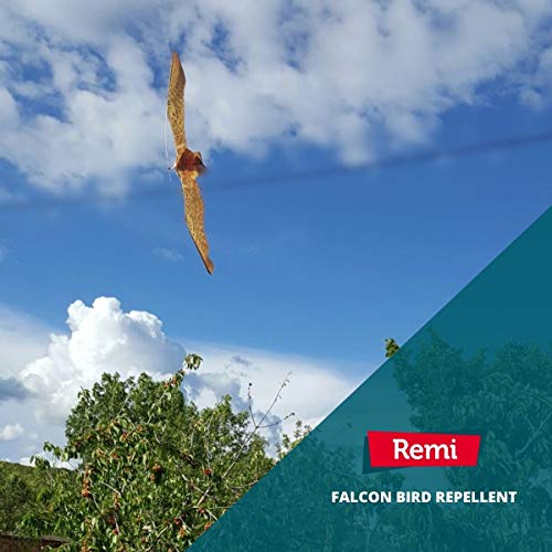 Remi Hogar Halcón Espantapájaros Profesional para ahuyentar pájaros con garantía de fabricación EU | Pértiga de 7 Metros