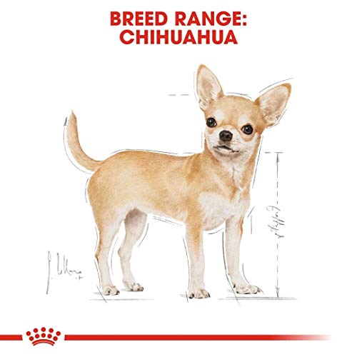 Royal Canin C-08992 S.N. Chihuahua 28 - 3 Kg