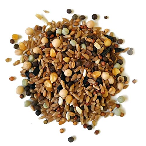 Sunseed Alimento para Aves de compañía y competición, Palomas, perdices, gallinas, Gansos, faisanes y Otras Aves de Granja 3 Kg