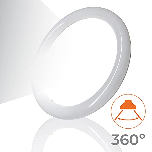 Tubo Circular LED G10 18w. Color Blanco Frio (6500K,). Sin instalacion. Tubo redondo cocina. 30cm.