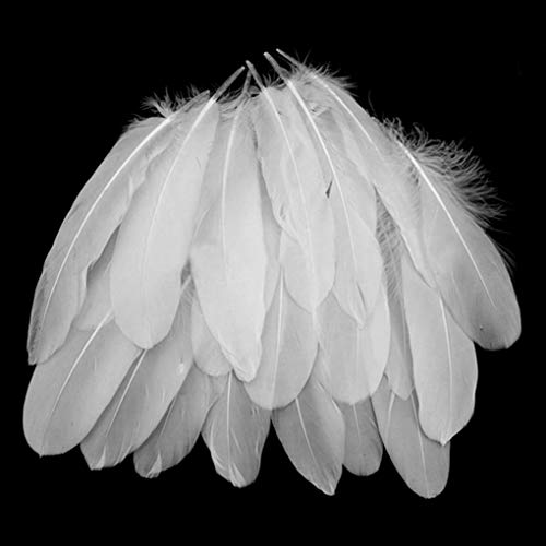 Yiiky Plumas blancas, 300 piezas de artesanía natural Plumas de ganso para disfraces, bolsos, decoración de aretes, atrapasueños de bricolaje, festival de bodas, decoraciones para fiestas en el hogar