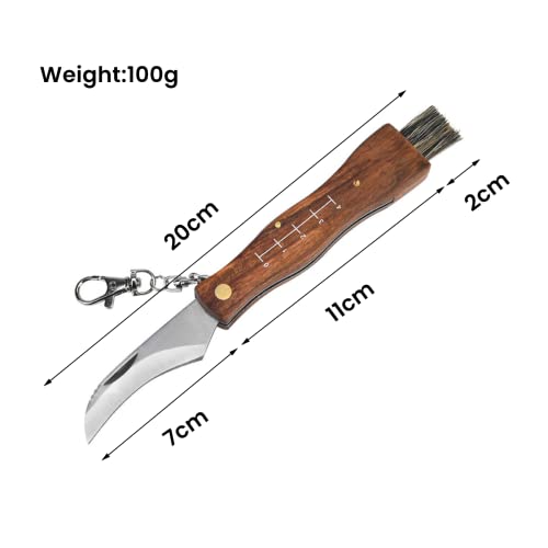 YOWOLF Navaja Setas,Cuchillo plegable Afilado Cuchillo para Hongos con Cepillo y Regla Navaja Champiñon Con Funda de Nylon Navaja Setera Navaja Micologica Navaja Pequeña para Exterior y Camping