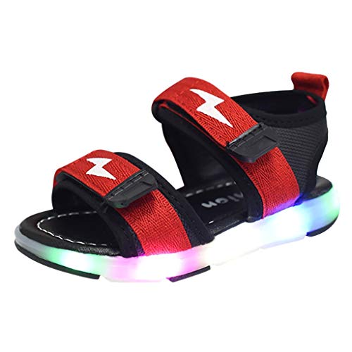 YWLINK Antideslizante Verano Fondo Blando CóModo El Comercio Exterior De NiñOs LED Luz Deportes Playa Zapatos Sandalias Luz Zapatos Rojo, Negro, Gris 21-30 Regalo