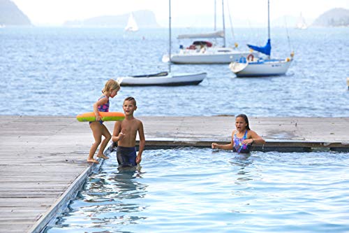 Zoggs Swim Ring flotadores para natación, Bebés Unisex, Naranja/Verde, 2-3 años