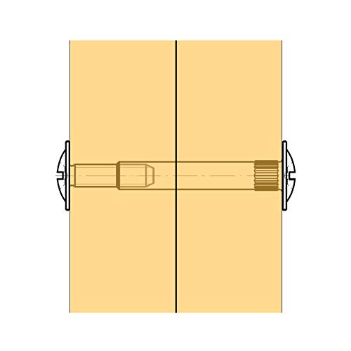 10 piezas SOTECH Tornillos de conexión CONNECT Ø 5 mm con rosca M4 Tornillo de unión con taco de fijación Acero niquelado para madera de 31-40 mm de espesor