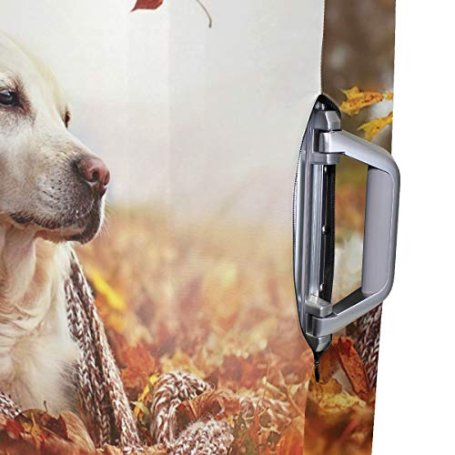 AJINGA One Autumn Leaf Wind Beautiful Dog Relax Travel Maleta Protectora para Equipaje de Viaje L 26-28 Pulgadas