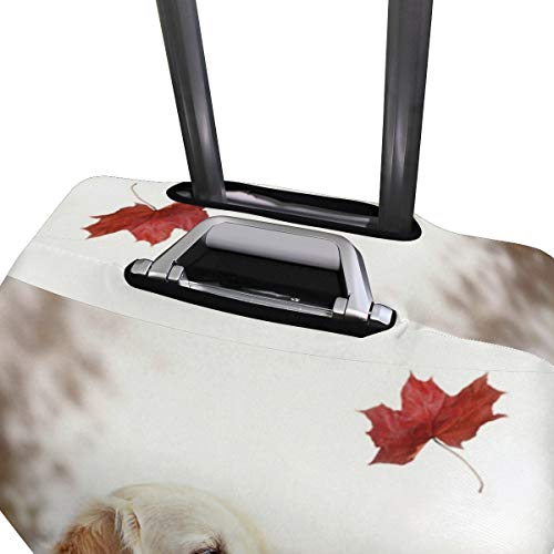 AJINGA One Autumn Leaf Wind Beautiful Dog Relax Travel Maleta Protectora para Maleta M 22-24 in