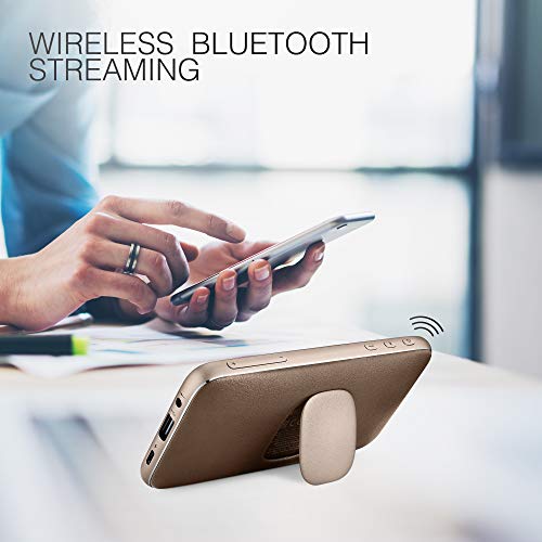 Altavoz Bluetooth HARMAN & KARDON Squire Mini 2 Brown