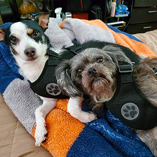 Arnes Perro Coche,Juego de Arnés para Perros con Cinturones de Seguridad para Perros,Correa de Conector de Vehículo de Coche para Perros con Chaleco de Tela de Malla Doble Transpirable