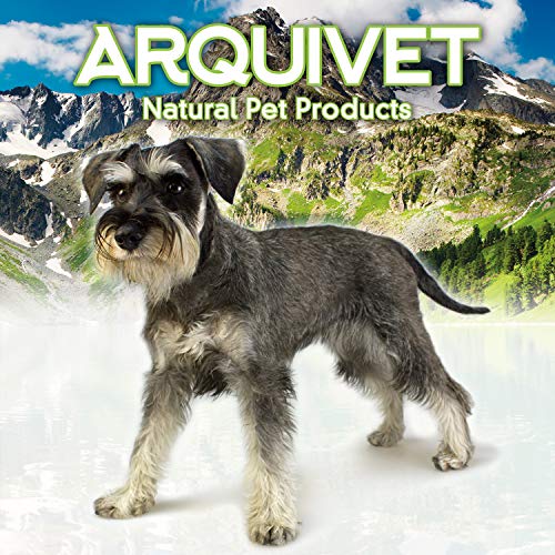 Arquivet Clicker Negro adiestramiento para Perros - Accesorios para Entrenamiento canino - Motivador para Perros - Complementos y Material para Mascotas - Ayuda adiestramiento