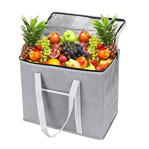 Bolsa termica, bolsa isotermica de 30 litros, bolsa termica porta alimentos, bolsa almuerzo, bolsa nevera para camping, barbacoa, compras, pesca, actividades familiares al aire libre