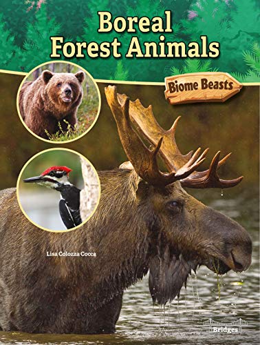 Boreal Forest Animals (Biome Beasts)