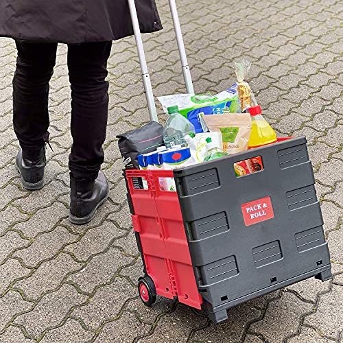 Carrito de la Compra Plegable con 2 Ruedas - hasta 35 kg de Carga - Asa de Aluminio Extensible - Multiusos - Color Rojo