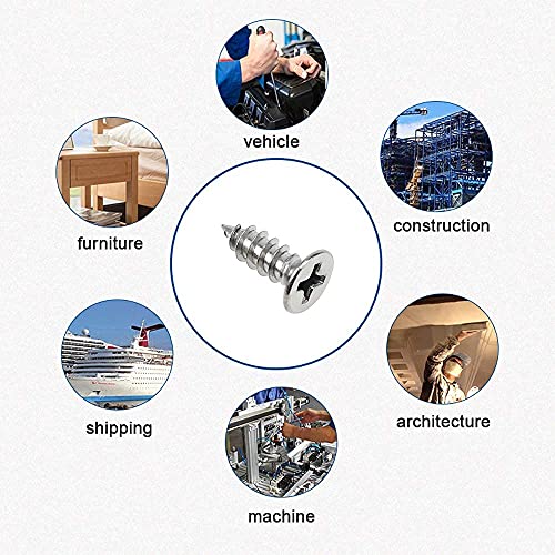 CYUaoao - 240 Piezas M4 Tornillos Autoperforantes Acero Inoxidable 304 Tornillo para Madera Cabeza Plana Tornillos Autorroscantes Tornillos Phillips 10 mm 12 mm Plateado con 1 Caja de Almacenaje