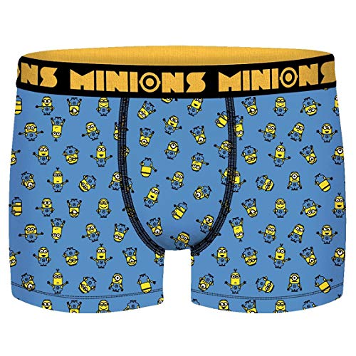 Freegun - Lot de 5 Boxers Garçons Les Minions 6/8 ans - Multicolore