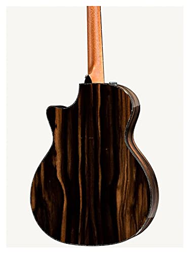 HQYYDS Guitarra Panel de Cedro sólido PS14CE 12 Fret GUITARIA ACUESTICA INLANCIONADA ALAVE Y LA Guitarra Natural DE BENETEN DE Lado Instrumento Musical (Size : 41 Inches)