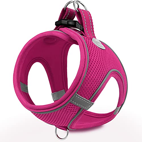 Joytale Arnes Perro, Reflectante Cómodo Transpirable Arnés, Perros Arneses Chaleco para Gato y Cachorros Perro, Rosa Caliente, S