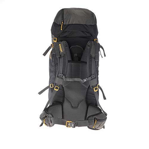 Lafuma - Access 65+10 - Mochila Unisex para Senderismo, Trekking y Viaje - Volumen Extensible 65+10 L - Gris/Negro