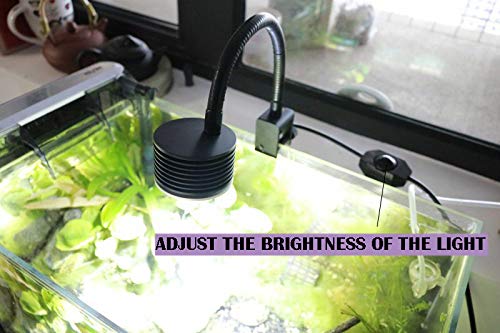 Lominie Luz De Acuario LED, Asta F20 Nano 6500K Luz De Tanque Plantada Regulable con Cuello De Cisne para Planta Refugio De Tanque De Peces De Acuario De Agua Dulce (F20 Agua Dulce)