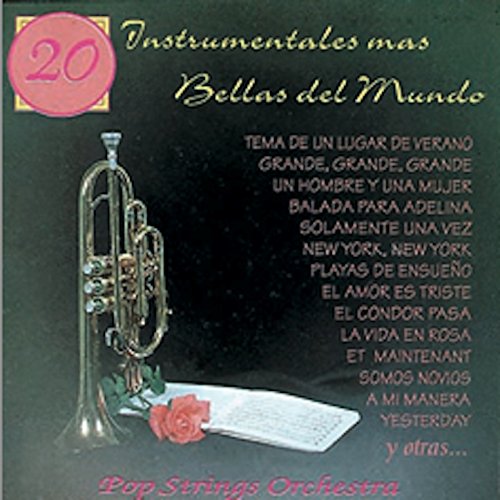 Los 20 Temas Instrumentales Mas Bellos del Mundo