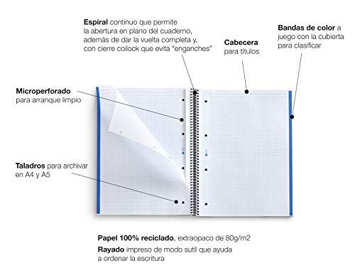 Miquelrius - Cuaderno Libreta Notebook 100% Reciclado, 1 Franja de Color, A4, 80 Hojas Cuadriculadas 5 mm, Papel 80 g, 4 Taladros, Cubierta de Cartón Reciclado, Diseño Ecomaps