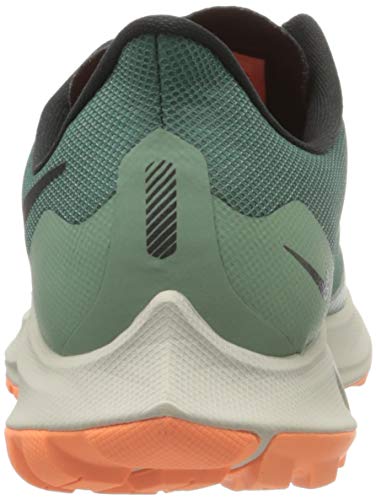 Nike W Zoom Pegasus 36 Trail GTX, Zapatillas de Correr Mujer, Multicolor (Bicoastal/Off Noir/Silver Pine), 41 EU