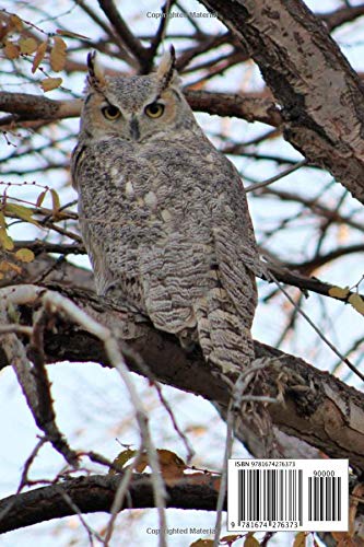 Notebook: 2 Great Horned Owls With The Second Being Well Camoufla , Journal for Writing, College Ruled Size 6" x 9", 110 Pages