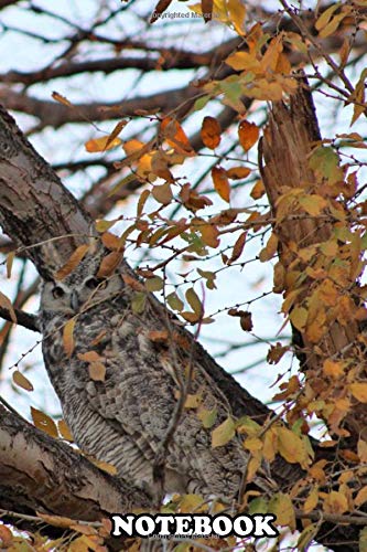 Notebook: 2 Great Horned Owls With The Second Being Well Camoufla , Journal for Writing, College Ruled Size 6" x 9", 110 Pages