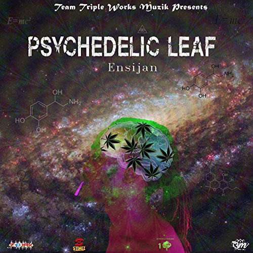 Psychedelic Leaf