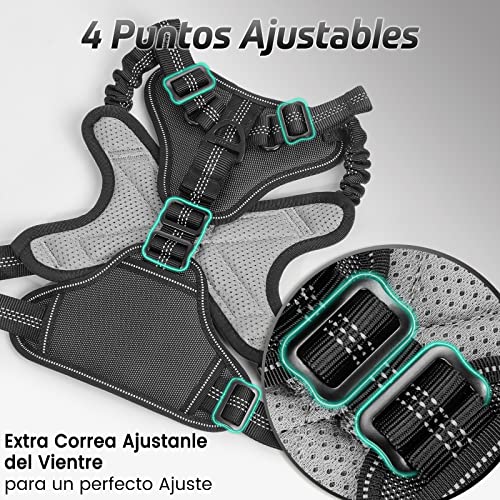 rabbitgoo Arnes Perros Arnés Chaleco Antitirones para Perros Grandes y Medianos con Correas Elásticas para Absorber Golpes Ajustable para Caminar con Asa de Fácil Control Reflectante, Negro L