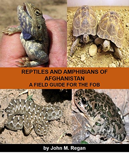 Reptiles and Amphibians of Afghanistan: A Field Guide for the FOB (English Edition)